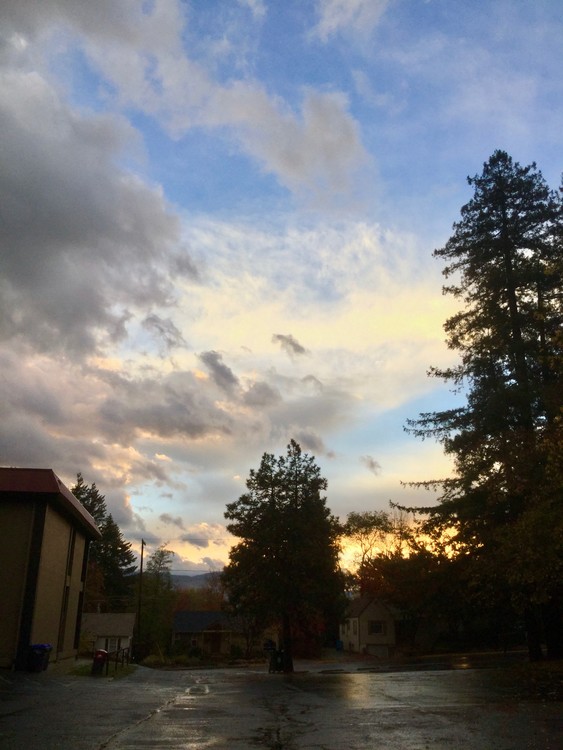 Dawn in Ashland #2