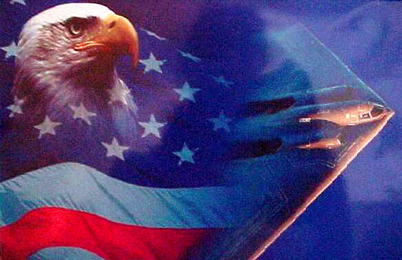 EAGLE WINGS