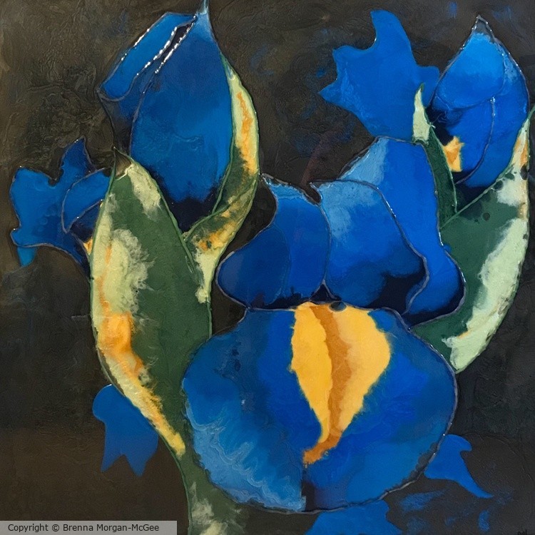 Iris