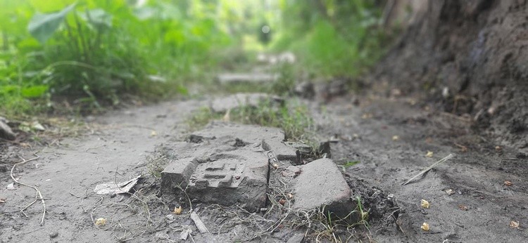 facebook photo