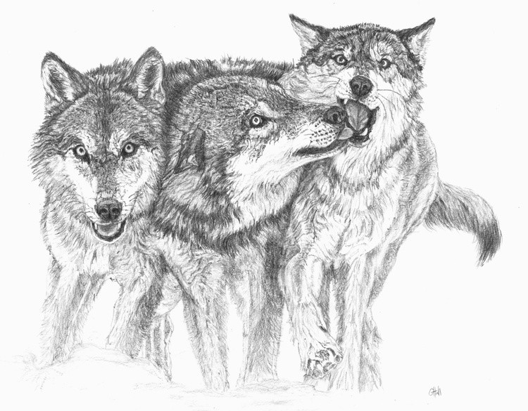 Running Mates