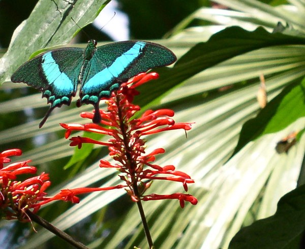 Beauty in Balance