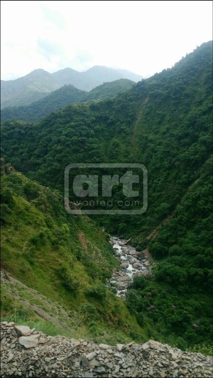 The music of hills & the stream.