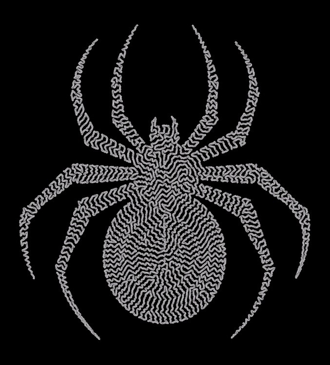 Pipe Cleaner Spider