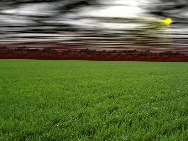 Sea Of Green