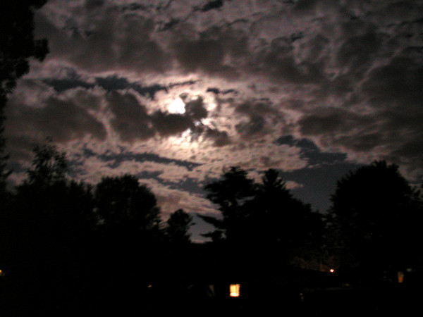 Nite Sky