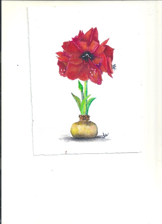 Image (50)