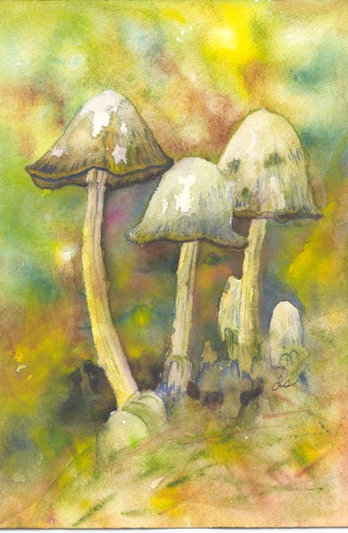 Mushrooms