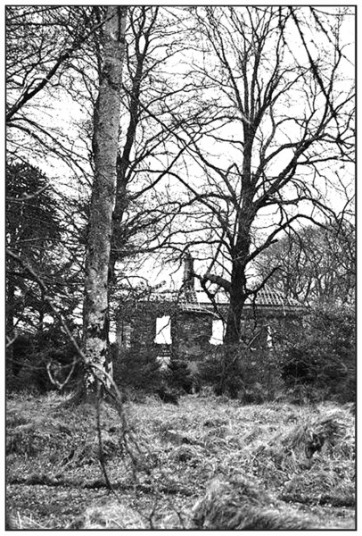 the haunted mansion.