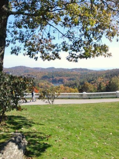 The View From Paradise