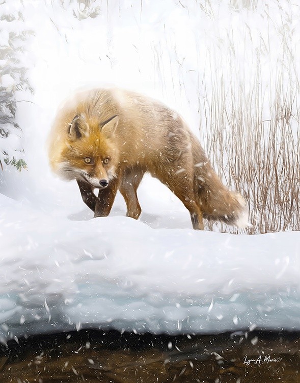Snowy Fox