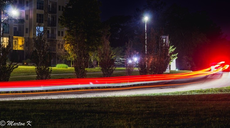 20250728-IMG 0239-2