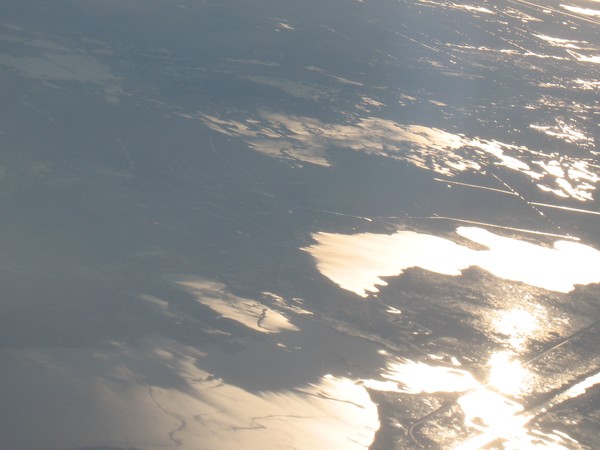 Louisiana Swamps From The Air