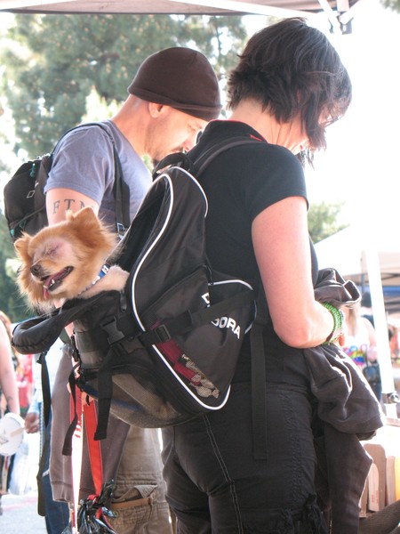 DOGIE BAG