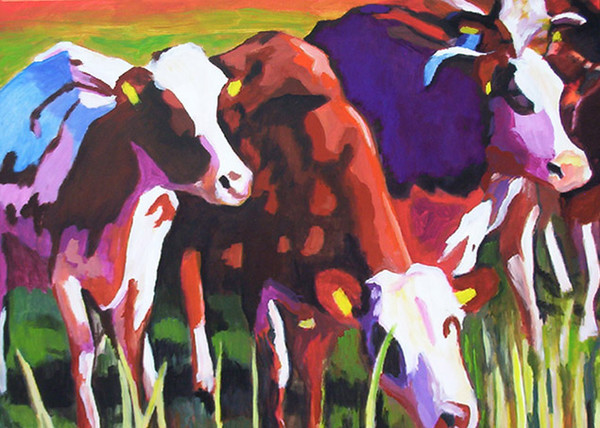 D175 cows 19