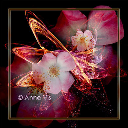 Flowers in Joy