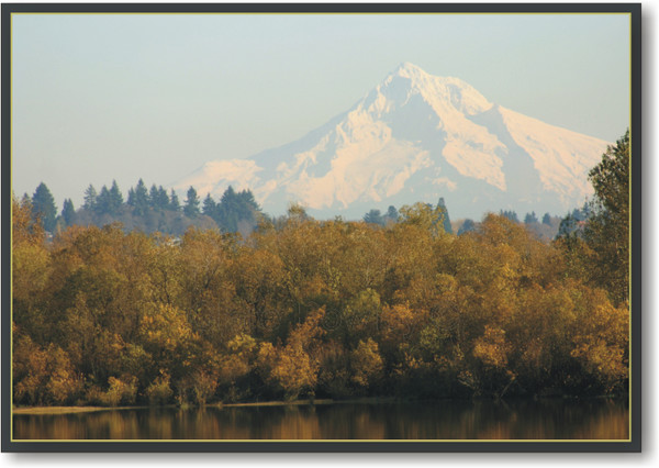 Mount Rainier