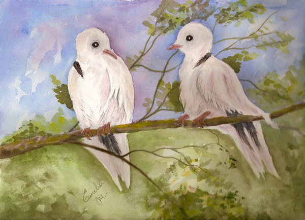 Love birds