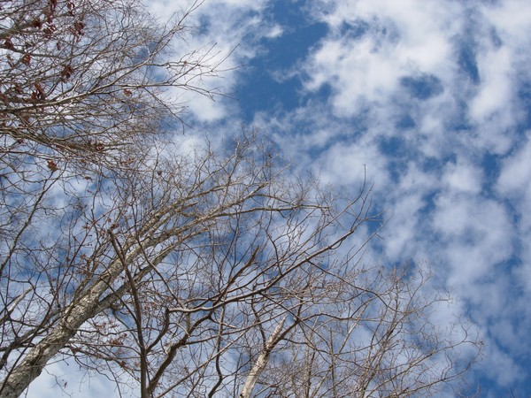 Sky Gazing