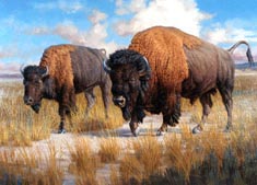 Symbol of the American West