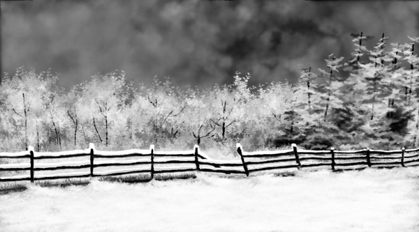 Snow Fences