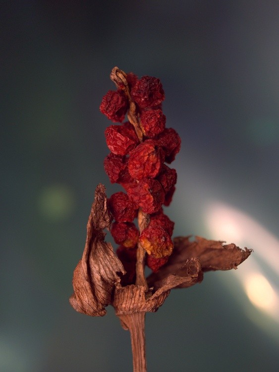 In Decay