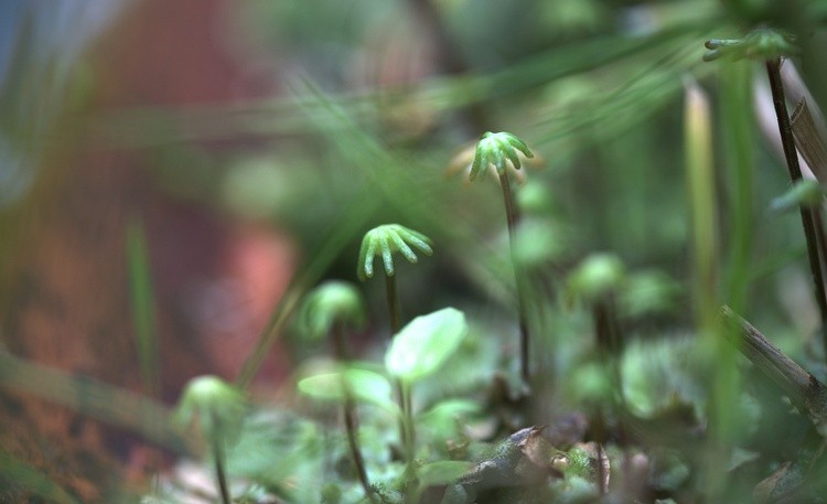 Life At Ground Level