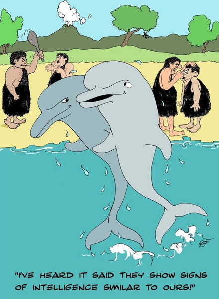 Dolphins