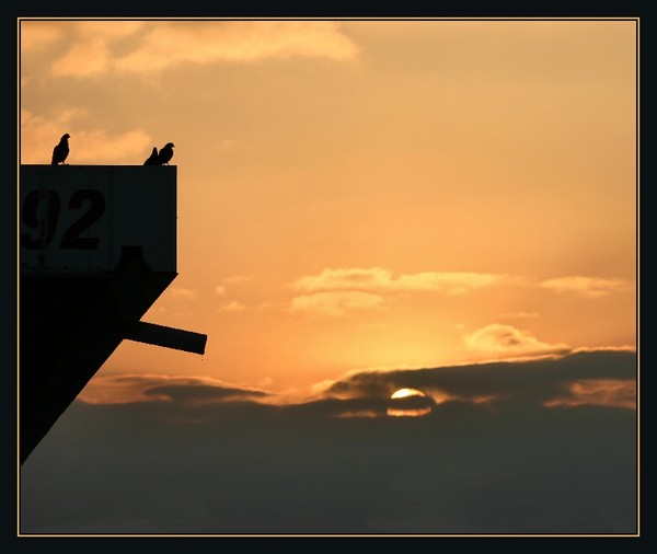 Morning Sky