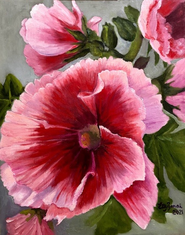 Hollyhock