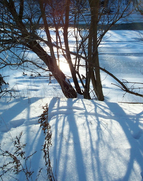 Winter Shadows