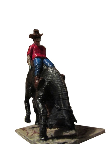 Bucking Horse