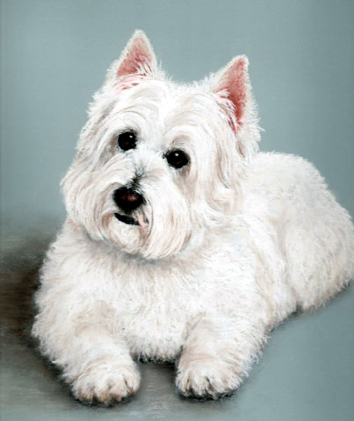 Fluffy