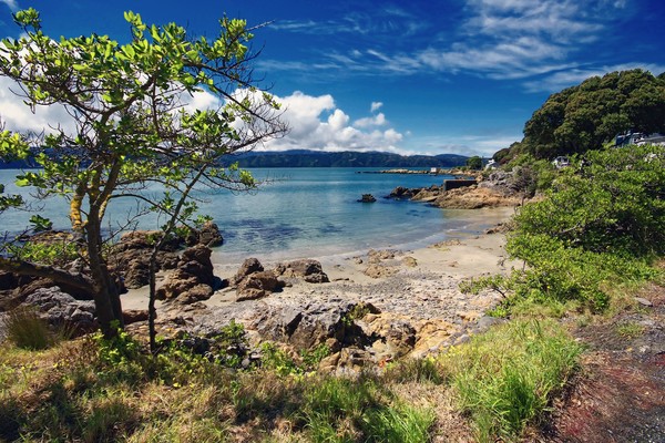 Karaka Bay (ii)