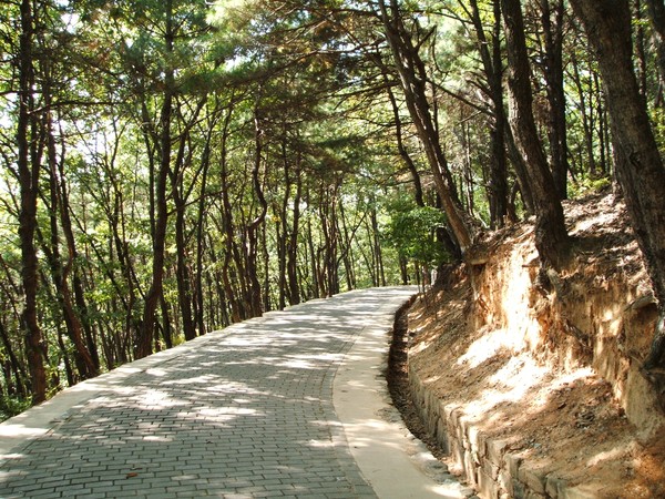 Down the Road