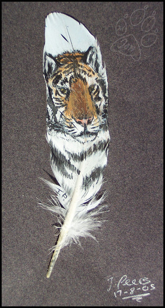 Tiger Feather