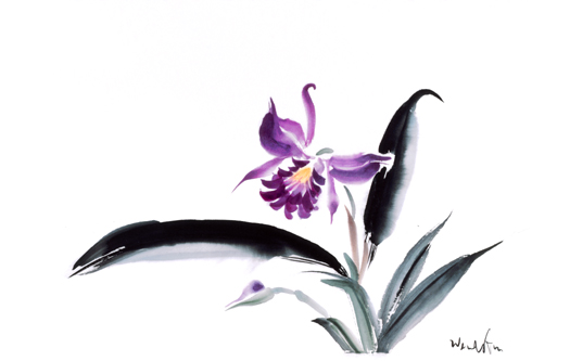 Orchid