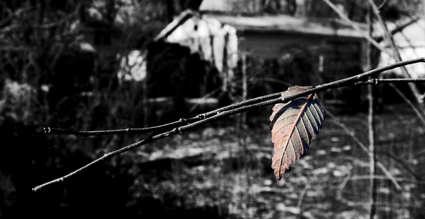Hanging on