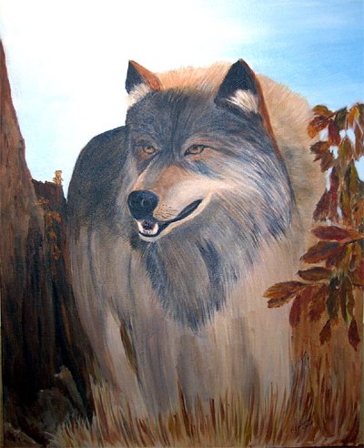 Portrait: Canis Lupus 1