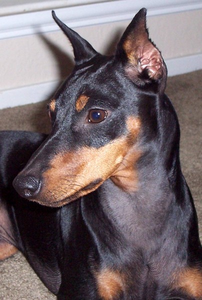 Spike