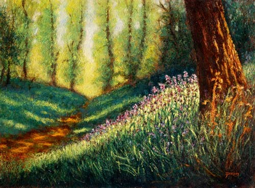 Spring Illumination