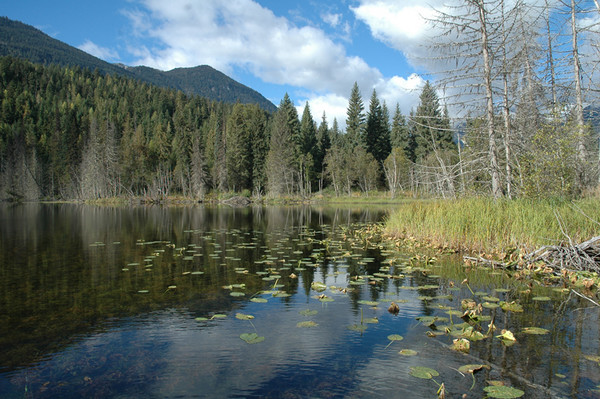 blackwater lake