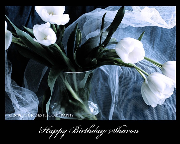 Happy Birthday Sharon