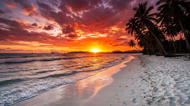 Vibrant tropical sunset glow illuminating a peaceful sandy beach with palm trees