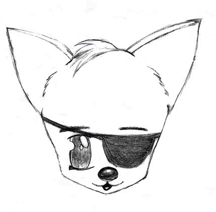 Puppy with an eyepach