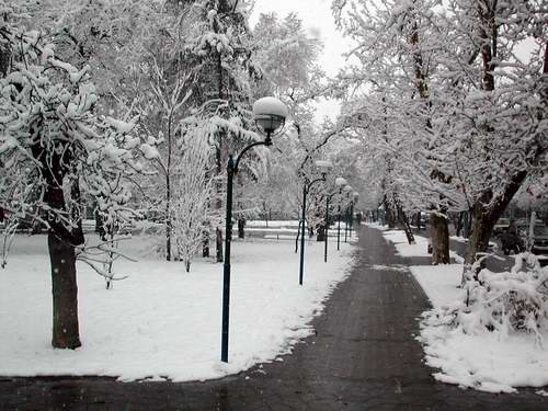 Winter