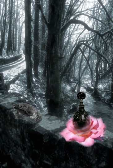 Darken