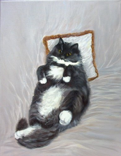 Portrait of the cat