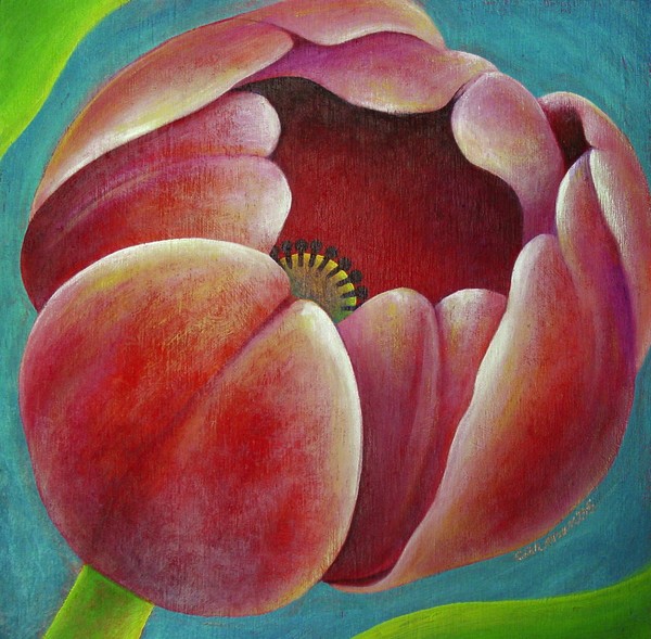 Red Tulip