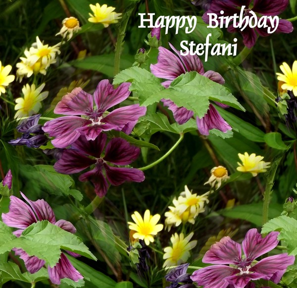 Happy Birthday Stefani